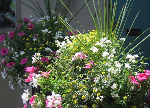 BASKET FROM FRONT PORCH