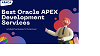 Best Oracle Apex Development Services