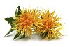 Safflower Oil And Weight Loss