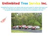 Best Tree Pruning, Tree Removal and Tree Trimming Service Columbia, MD
