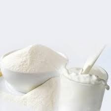 Fat Filled Milk Powders Market 