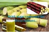 Sugar cane Juice Health Benefits - HealthyLife WeRIndia