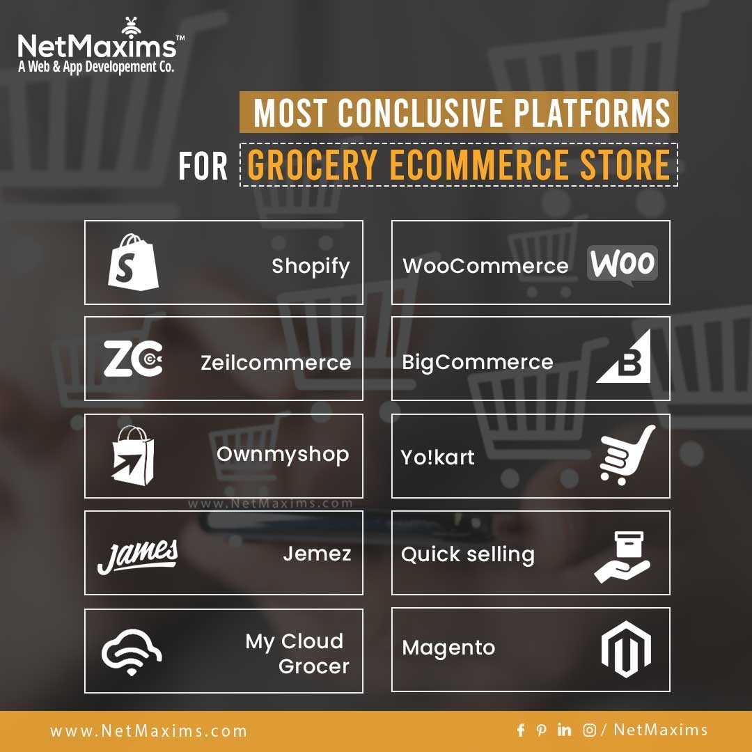 How to start an online Grocery store?