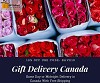 Flowers Delivery in Canada