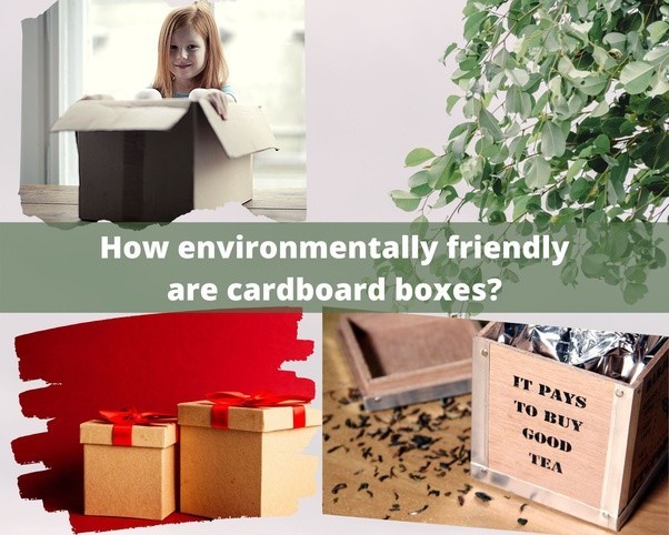 How environmentally friendly are cardboard boxes