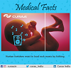 MEDICAL FACT OF THE DAY-CURAA