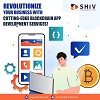 Revolutionize Your Business with Our Blockchain App Development Services!