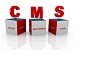 CMS Web Development - Scalable & Affordable