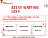 Essay Writing Help