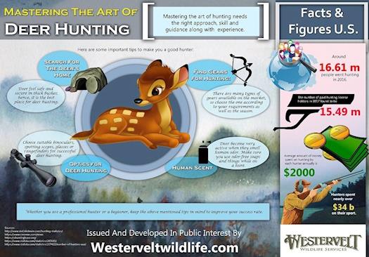 Mastering the Art of  Deer Hunting