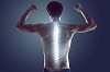 7 Basic Facts You Should Know About the Human Spine