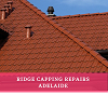 Repainting Ridge Capping- Get Instant Services By Roof Doctors Australia