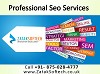 Professional Seo Services