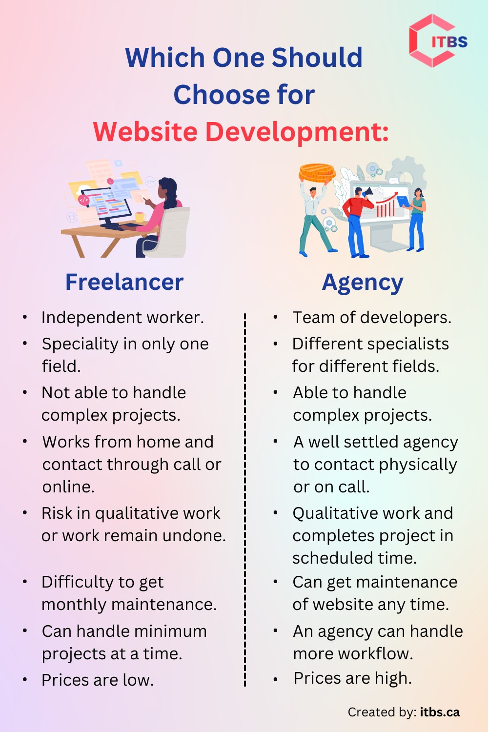 Freelancer vs Web Development Agency