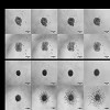 Cultrex® 3-D Spheroid Cell Invasion Assay