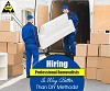 Why Hiring Professional Removalists Is Better Than DIY Methods