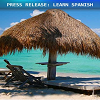 PRESS RELEASE SAMPLE -- FOR SPANISH TRANSLATION SERVICE