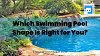 Discover the Perfect Pool Shape for Your Space and Style | Dan Technologies