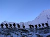 Deo Tibba: A Thrilling Himalayan Expedition