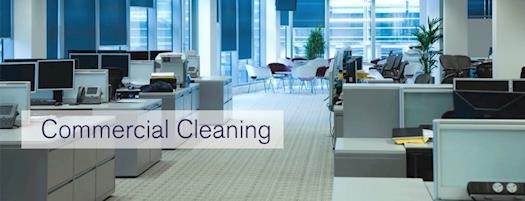 cleaning service