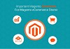 Most Important Magento Extensions for Magento eCommerce Stores