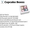 Cupcake Boxes wholesale In USA