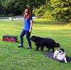 Wolfen1 Dog Training2