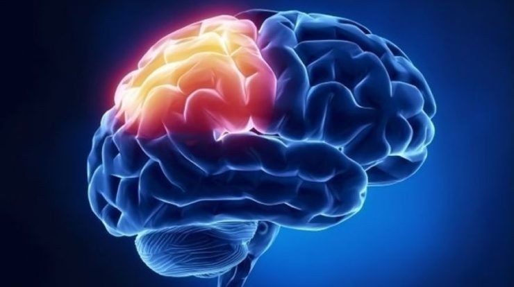 How to remove Brain Tumor
