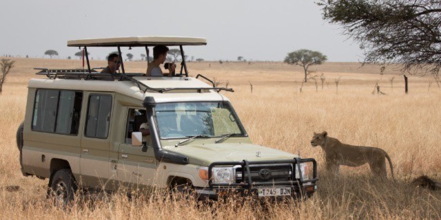 Tanzania Safari Cost - A Guide to Planning Your Dream Tanzania Safari