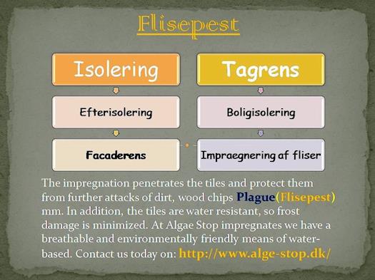 Flisepest