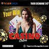   Betting on IPL  Match 2025 Made Easy with Tiger Exchange 247