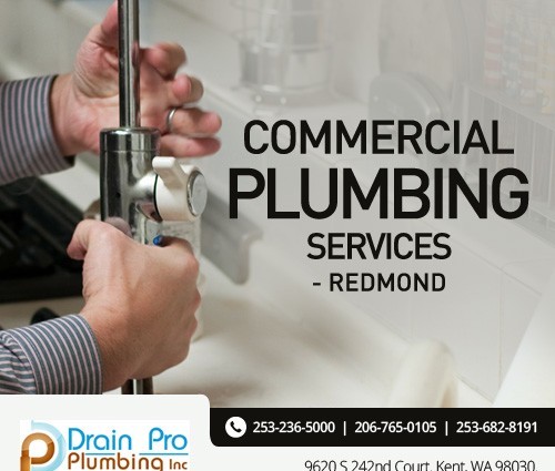 Commercial Plumbing Redmond