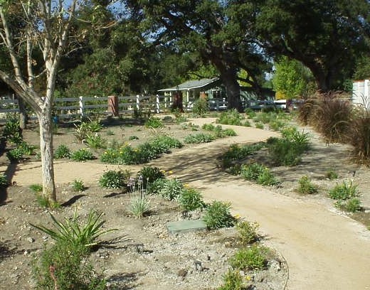 Drought tolerant design