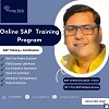 SAP Certification Training In South Africa At Prompt Edify