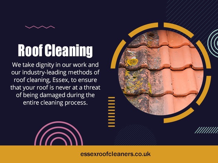 Roof Cleaning Essex