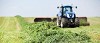 Buy Seed Grazing Alfalfa Seed from Forage Complete