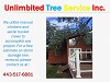 Best Storm Damage Tree Service in Annapolis, Maryland