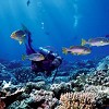 Scuba Diving Classes