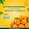 Buy Alphonso Devgad Ratnagiri Mango Online In India