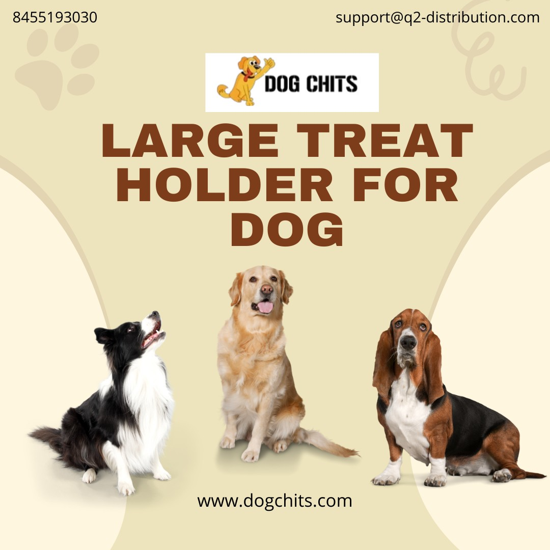 Best large treat holder for Dogs - New York 