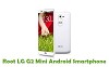 How To Root LG G2 Mini  Android Smartphone
