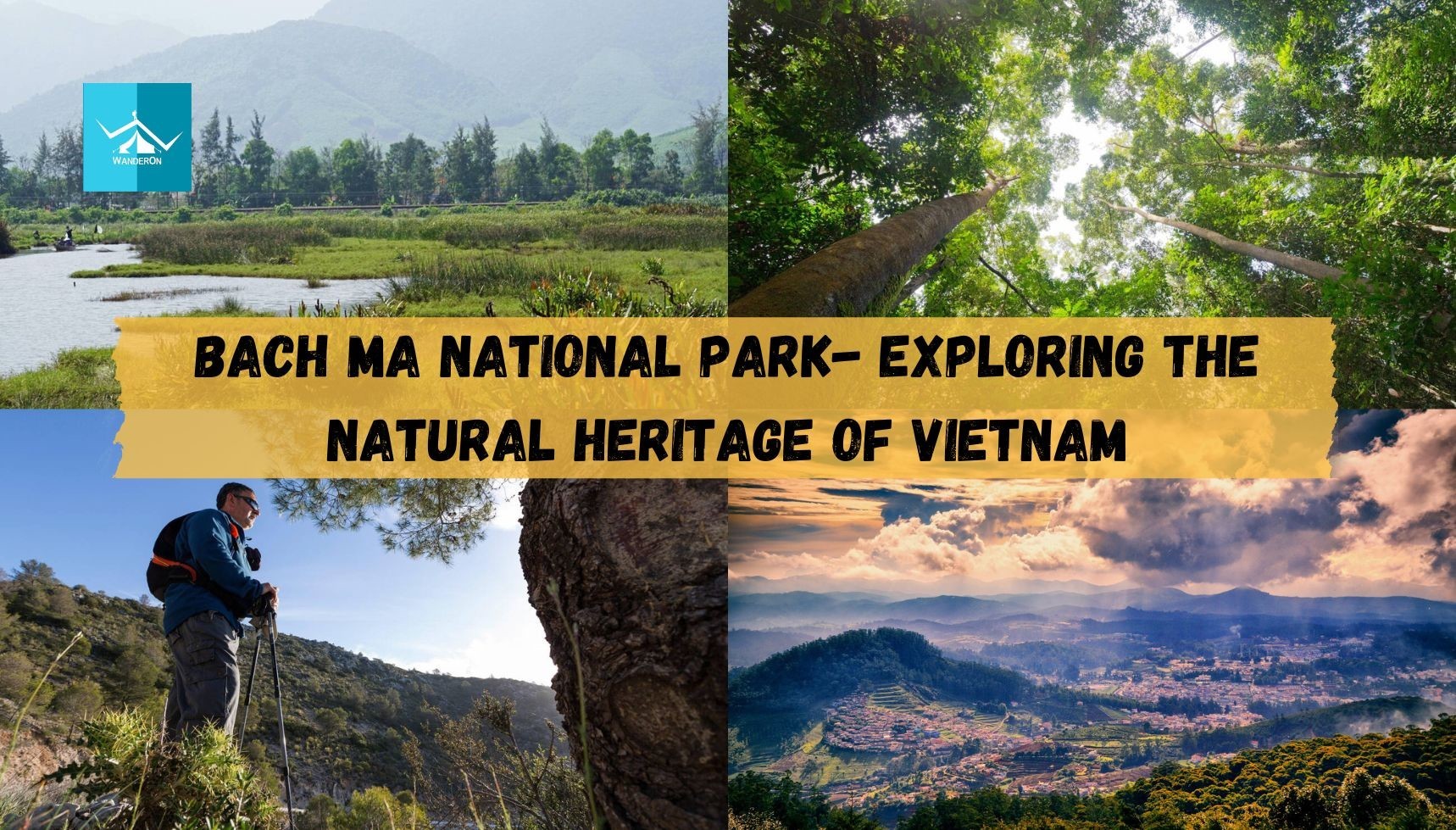 Bach Ma National Park: Exploring Vietnam's Natural Heritage