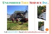 Baltimore Storm Damage Services & Emergency Tree Service & Tree Care