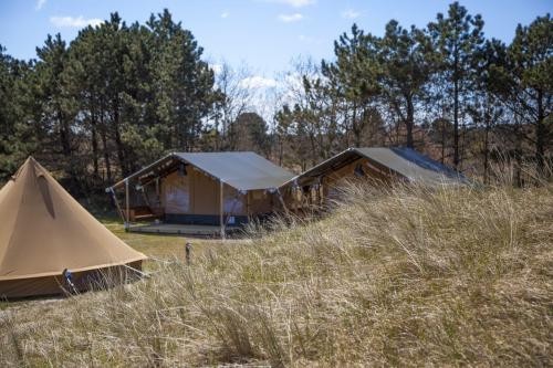 Tent Rental Service