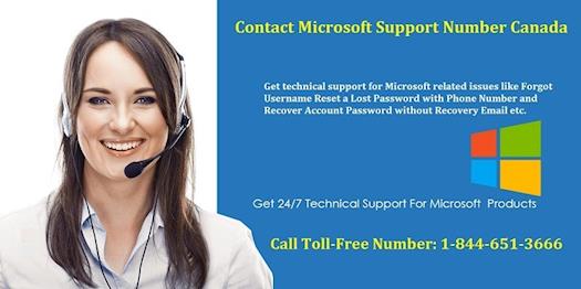 Contact Microsoft Support Helpline Number at 1-844-651-3666