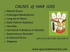 Arogyam Pure Herbs Hair Care Kit For Hair Problem Solution
