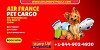 Pet Cargo : Air France - Airlines Pet Policy