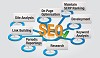SEO Packages and Services for Site Ranking