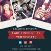 Fake University Certificate