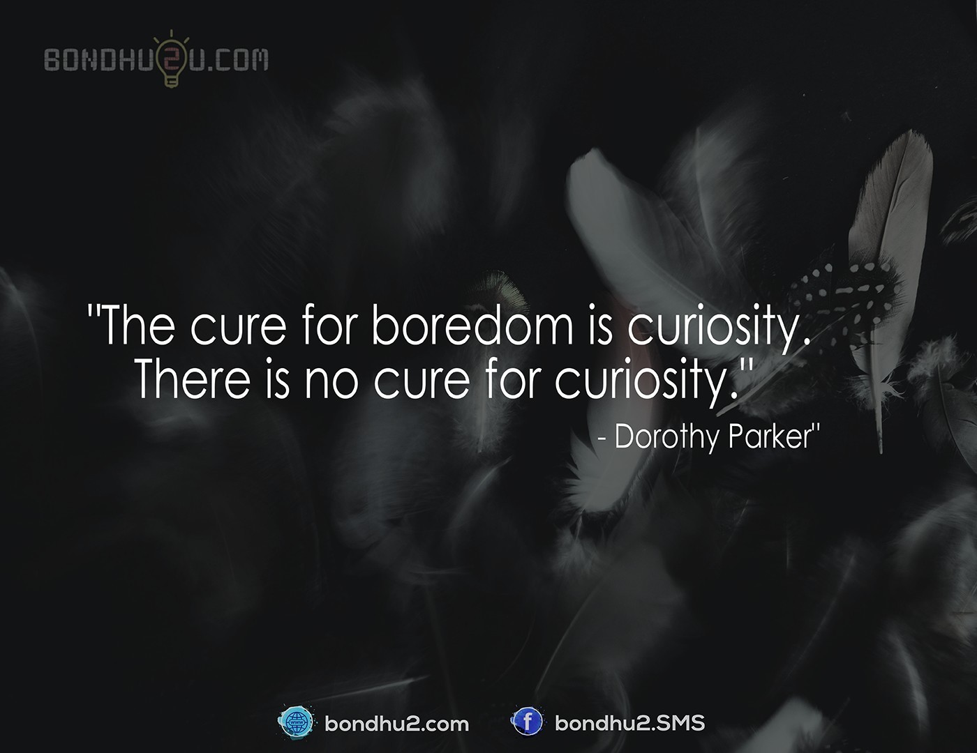  The cure for boredom is curiosity.